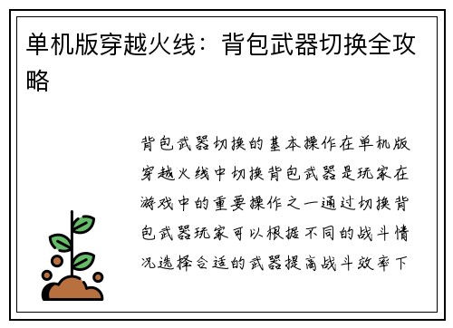 单机版穿越火线：背包武器切换全攻略